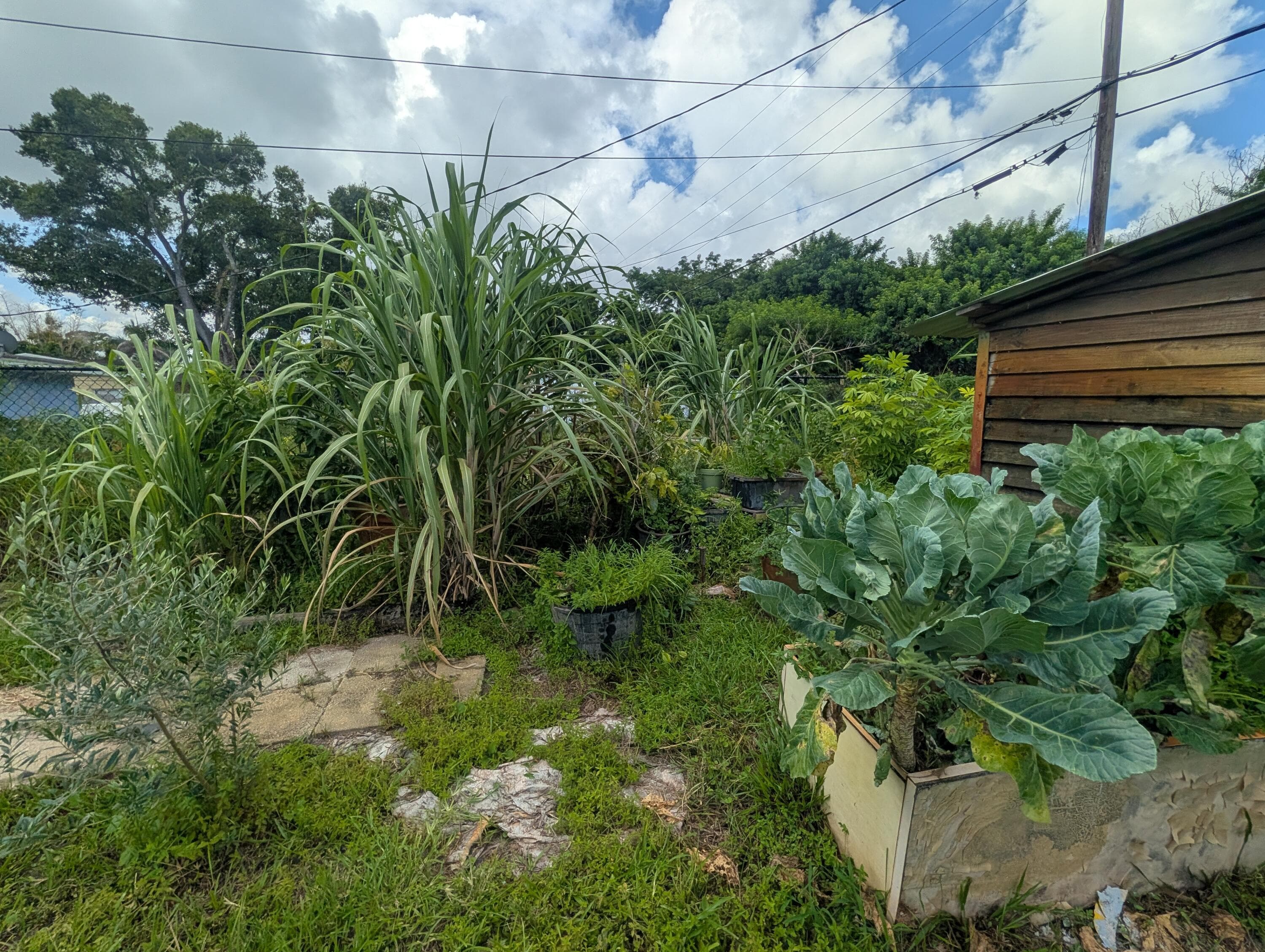 625 Coconut Avenue N, Port St. Lucie, FL 34952 39