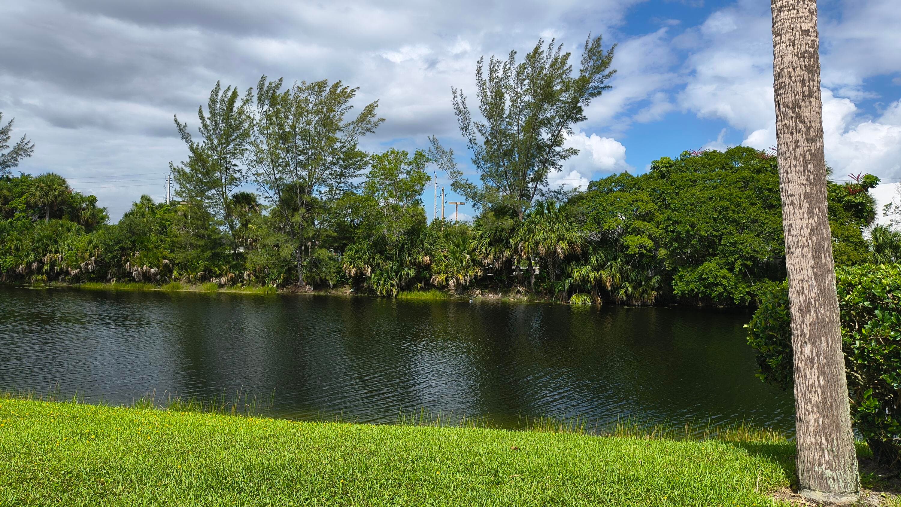 173 Lake Meryl Drive, West Palm Beach, FL 33411 5