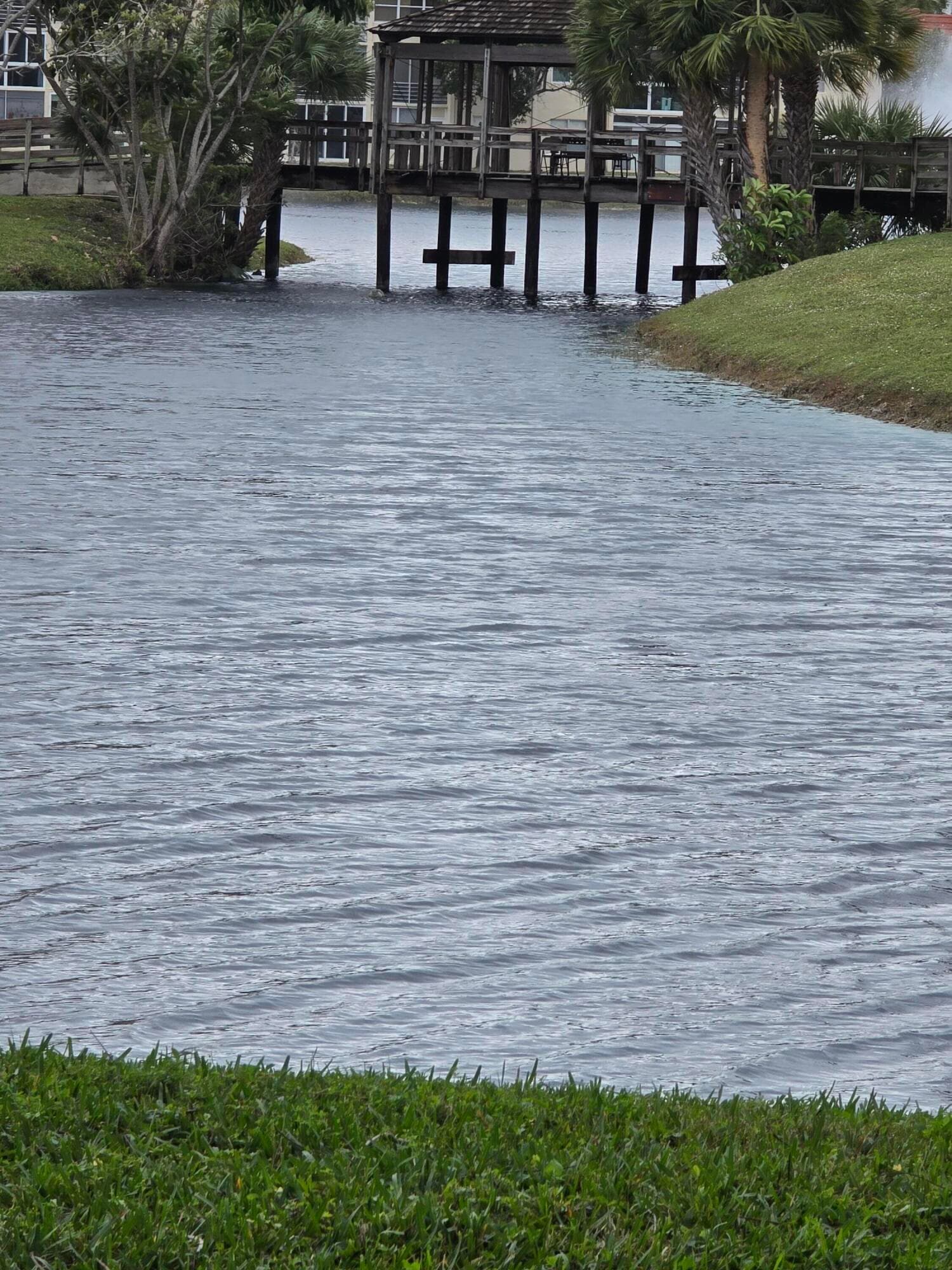2800 W Sunrise Lakes Drive W 312, Sunrise, FL 33322 31