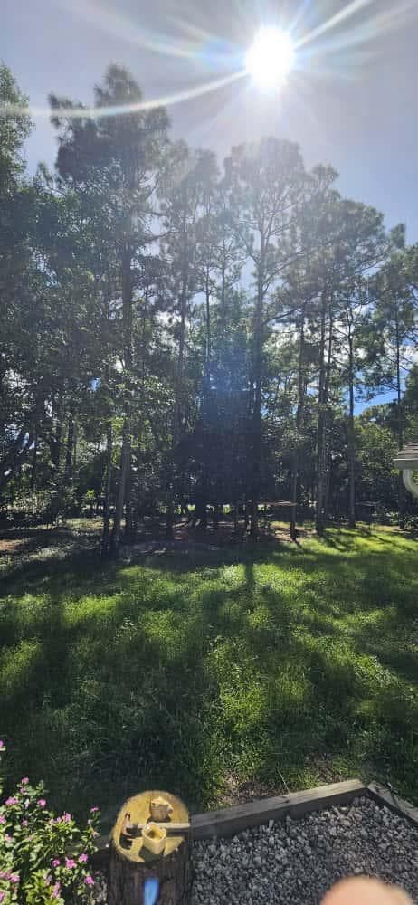 15941 MELLEN Lane, Jupiter Farms, FL 33478 2
