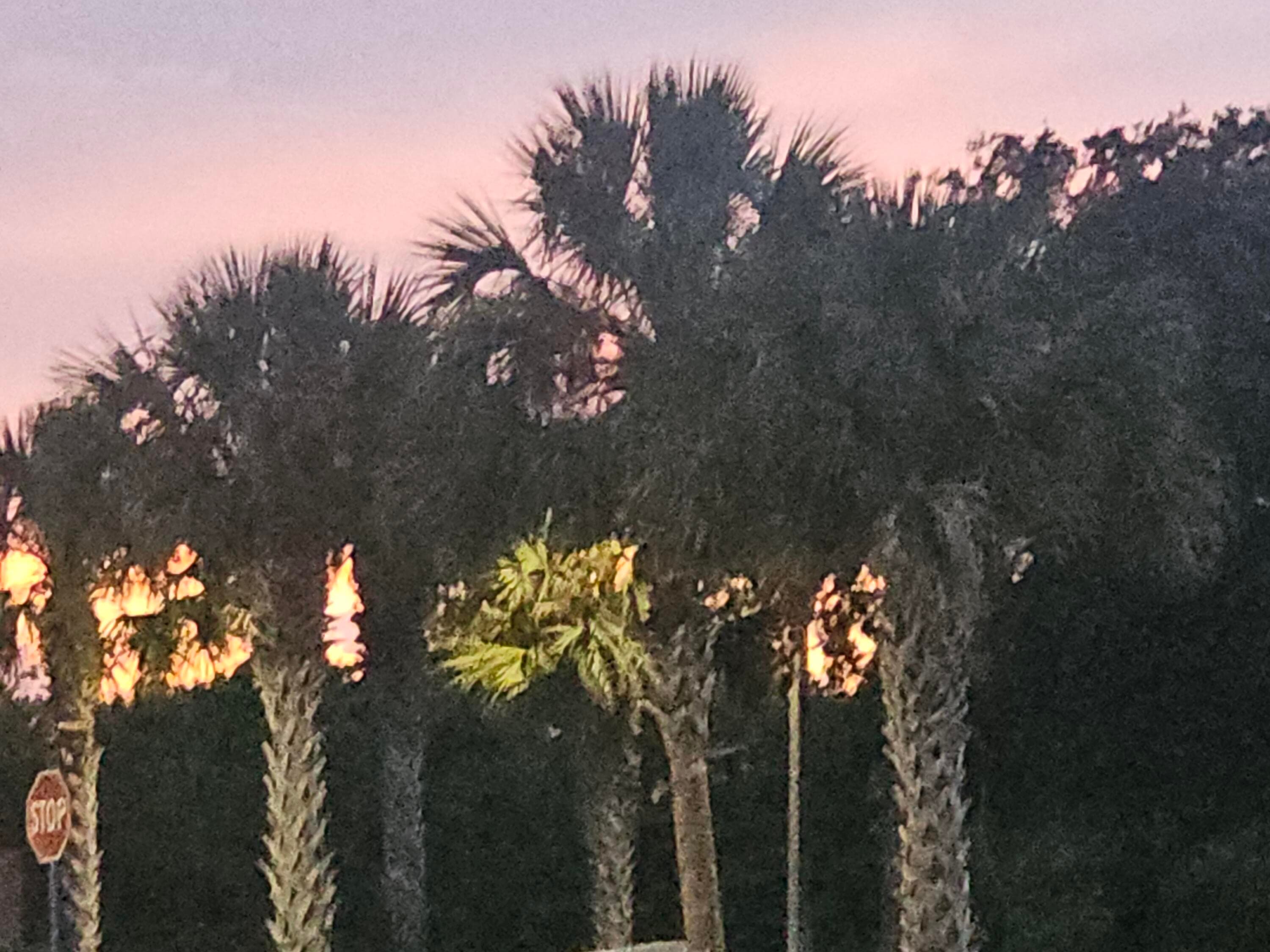 1636 POINTE WEST Way, Vero Beach, FL 32966 68