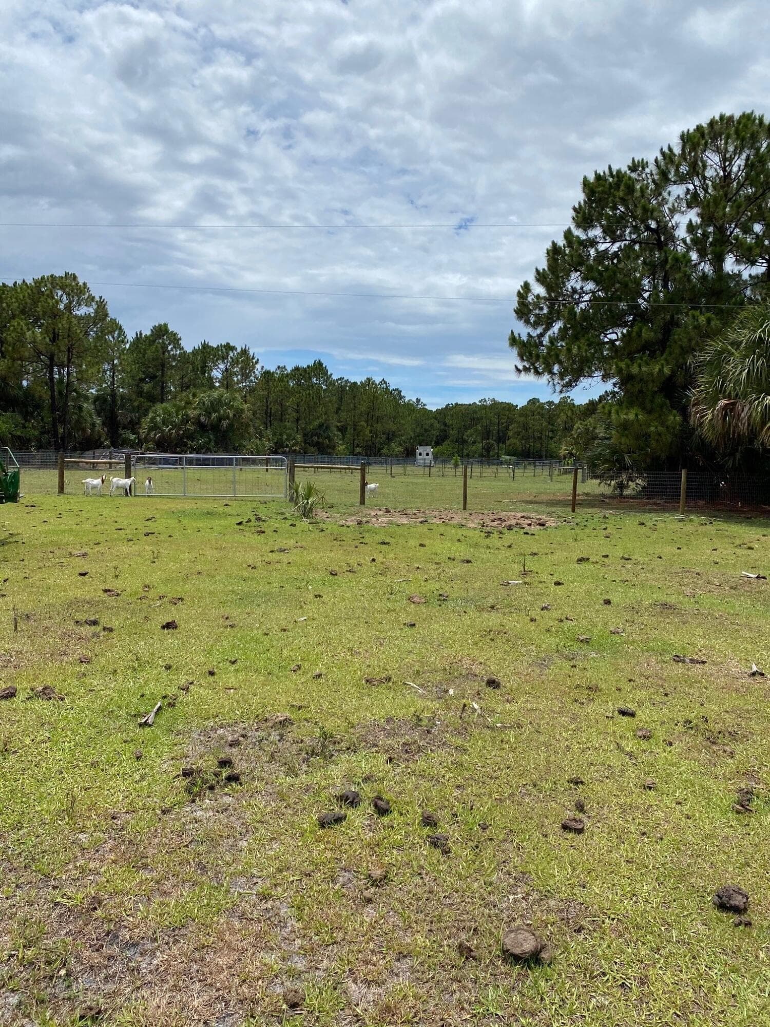 26105 SW 86th Street, Indiantown, FL 34956 9