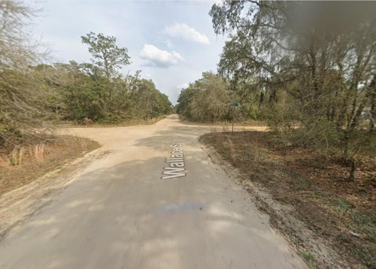 Tbd Wallace Street, Interlachen, FL 32148 4