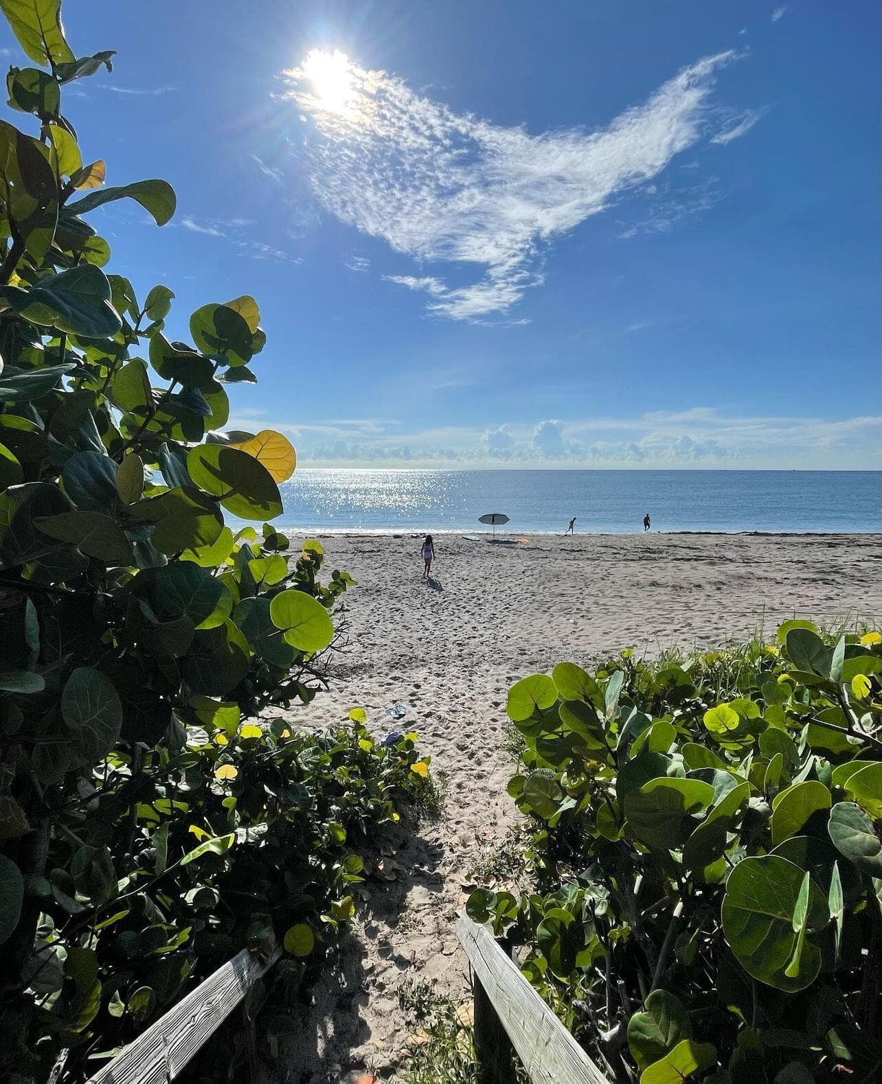 14 Colonial Club Drive 300, Boynton Beach, FL 33435 48