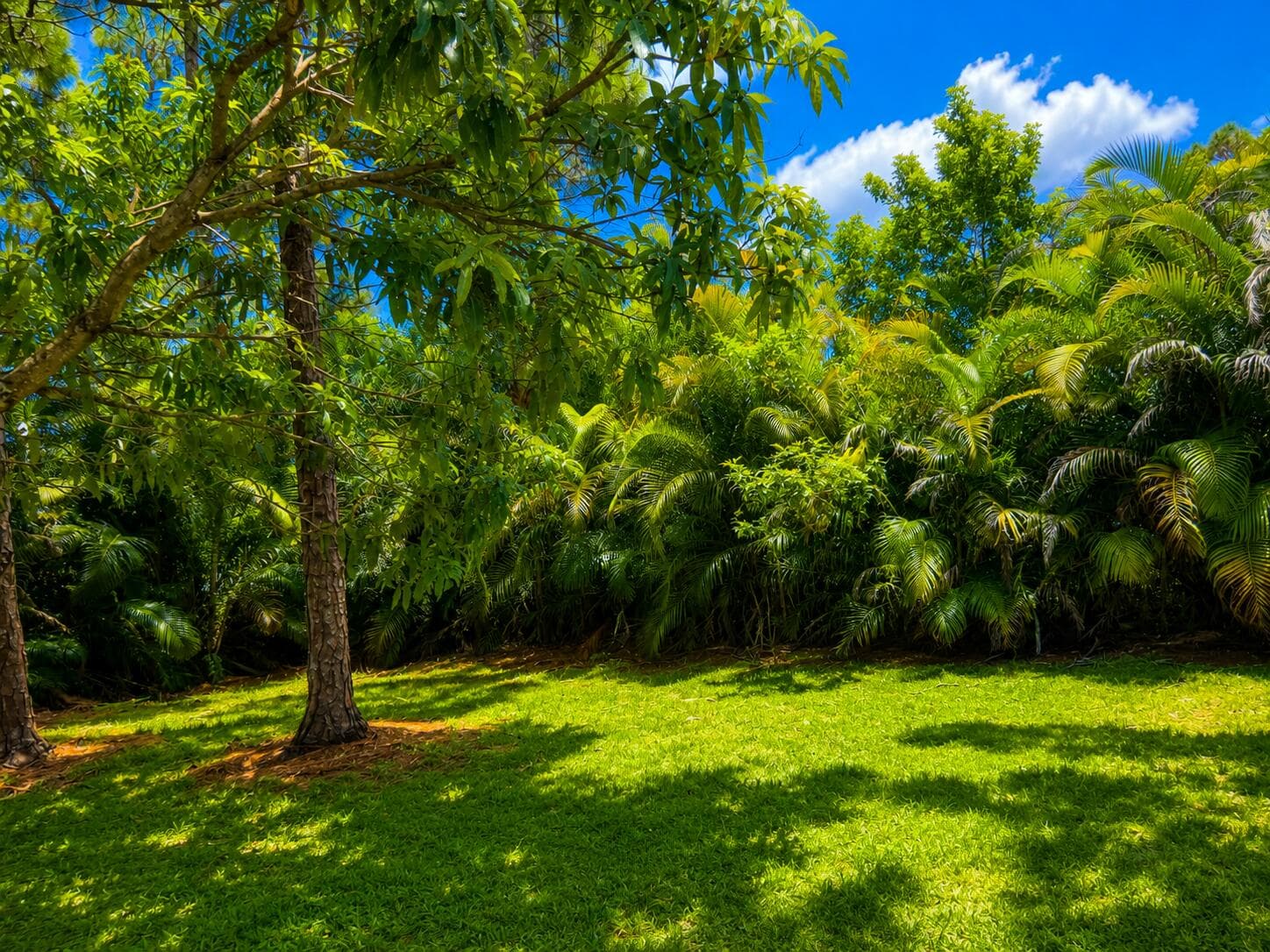15057 60TH Place N, The Acreage, FL 33470 29
