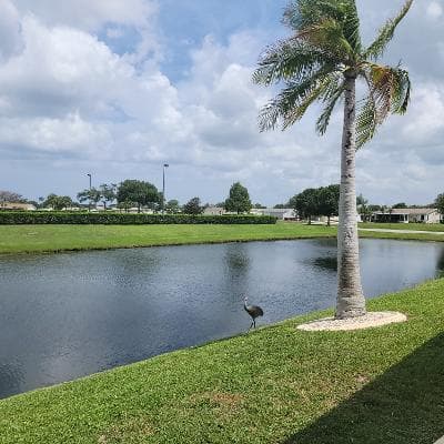 7928 BLACK TERN Drive, Port St. Lucie, FL 34952 21