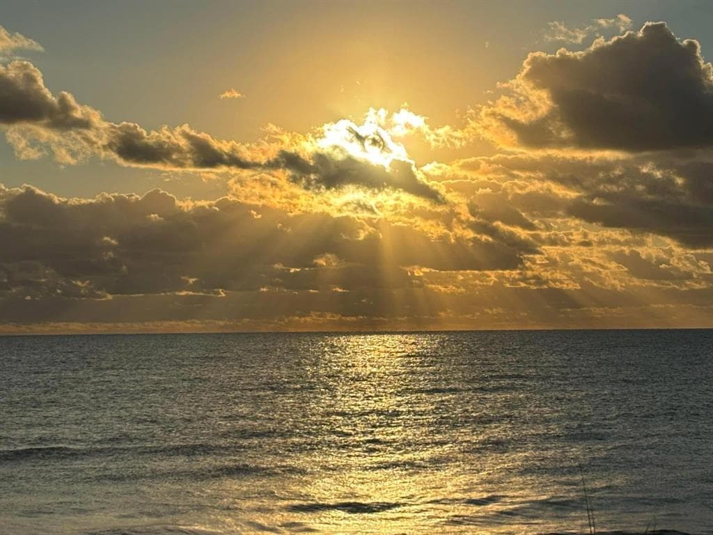 1040 NEWPORT H 1040, Deerfield Beach, FL 33442 49