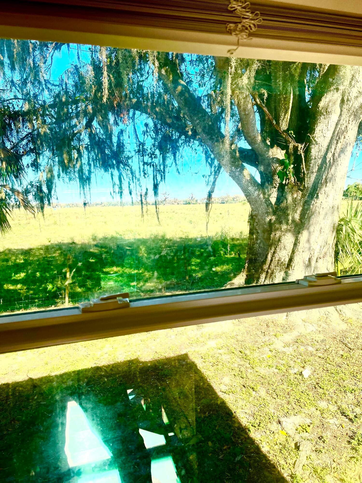 6275 US Highway 441 SE, Okeechobee, FL 34974 9