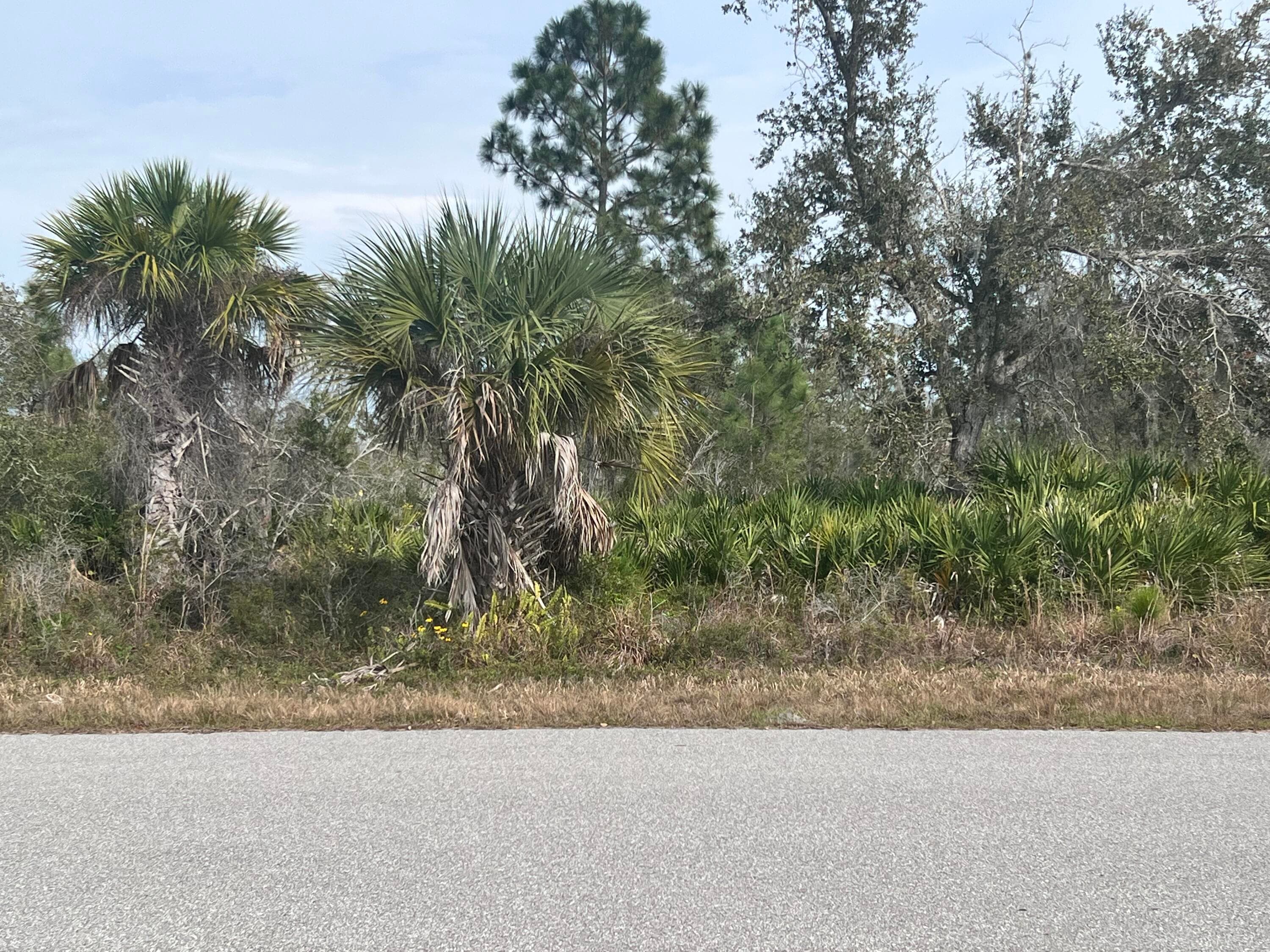 310 Halloran Street, Port Charlotte, FL 33953