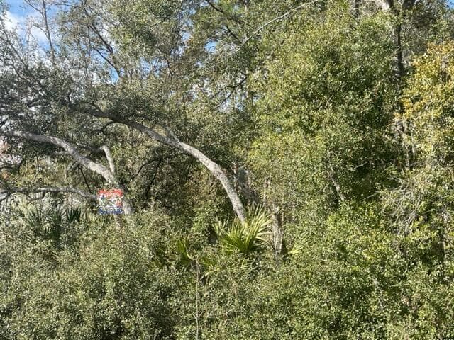 000 Malauka Cir Circle, Ocklawaha, FL 32179